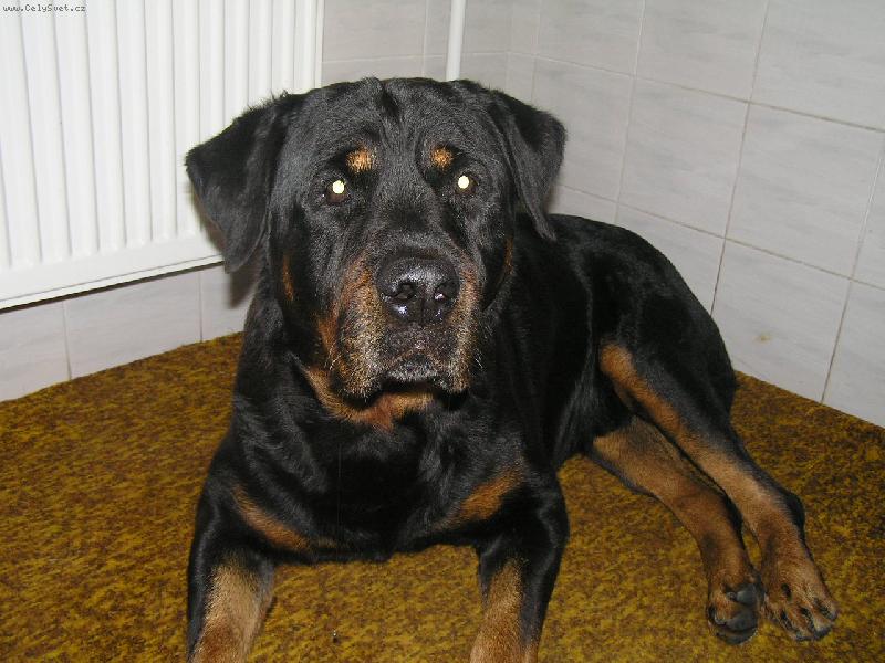 Foto: Co jsem udelal?????