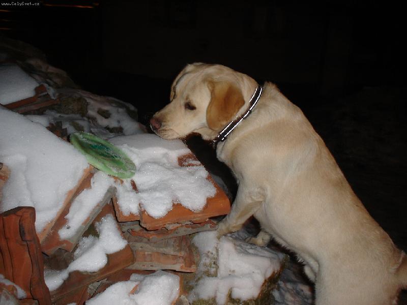 Foto: Je�t� kousek a m�m ho!