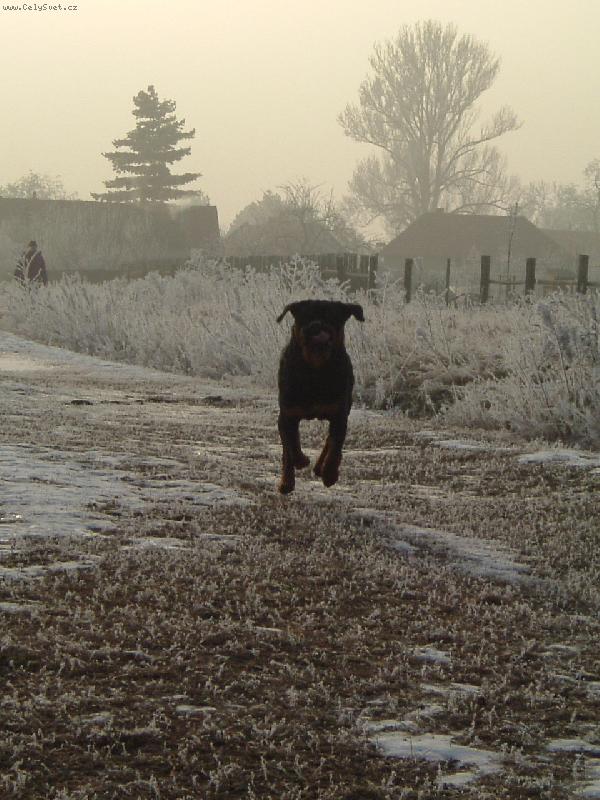 Foto: L�taj�c� �estm�r