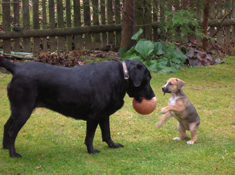 Foto: Hele, p�ihraj taky!