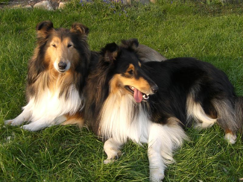 Foto: Ulvar a Beky-L�TO 2006