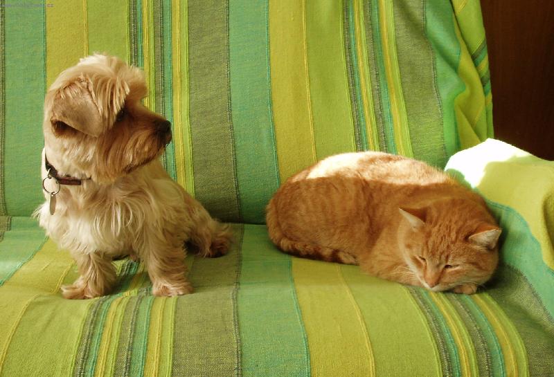 Foto: Jsme oba zrzav�!!