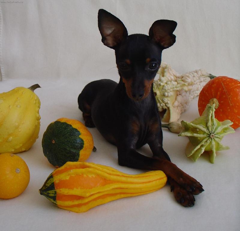 Foto: Odpo�inek :)