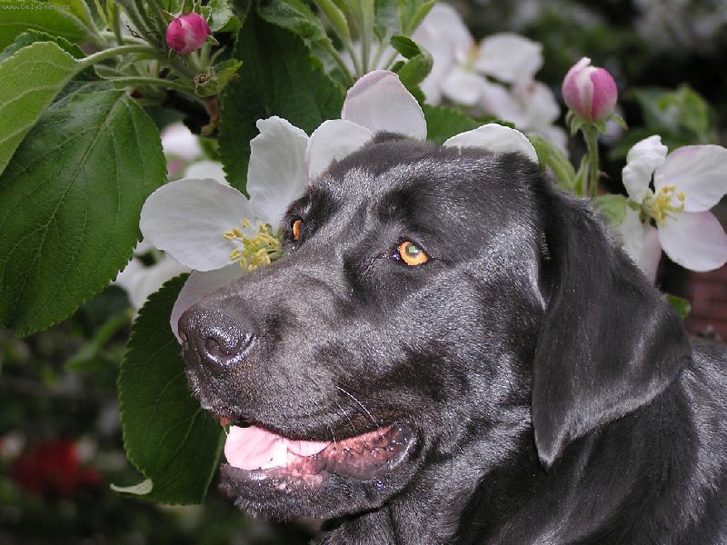 Foto: Britu�ka-Kv�tek