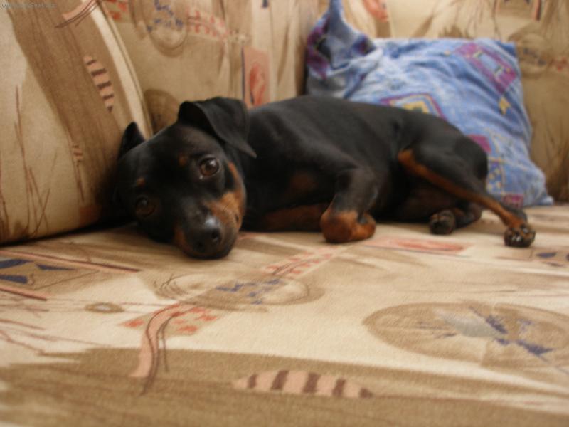 Foto: Relaxace=oD-Max��ek odpo��v�