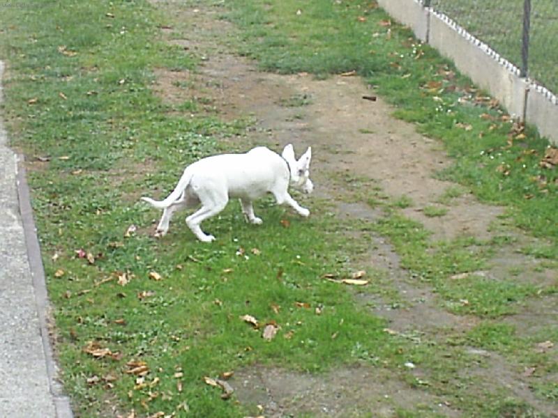 Foto: Danny-Snad m� nikdo nevid�..