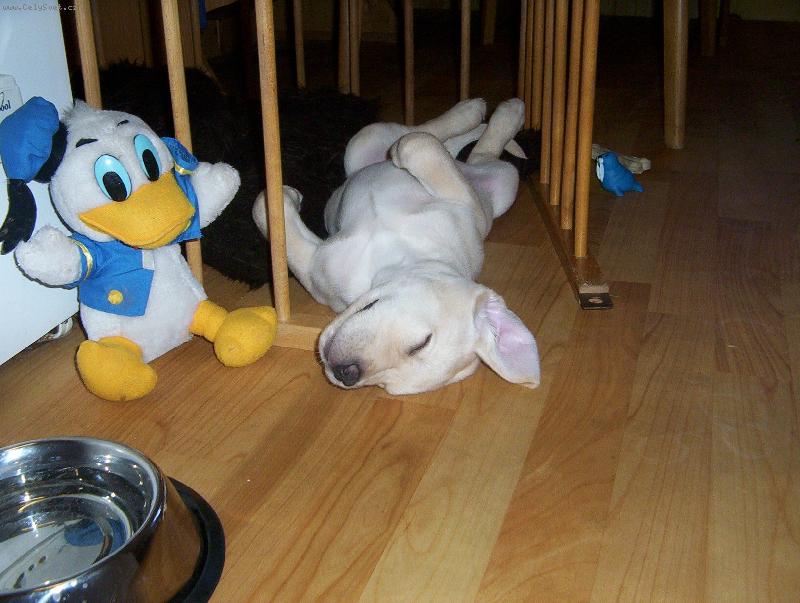 Foto: Max�k-tak se mi spink� nejl�p!