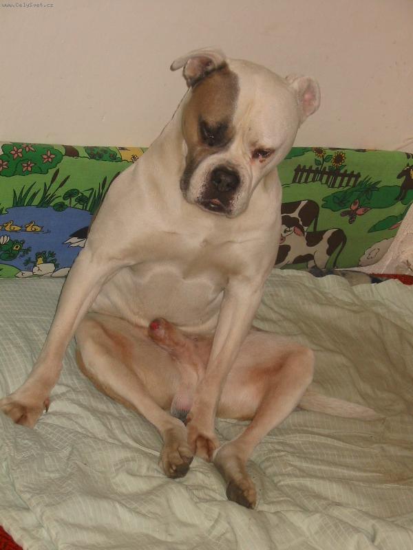 Foto: Butch-sed� a us�n�