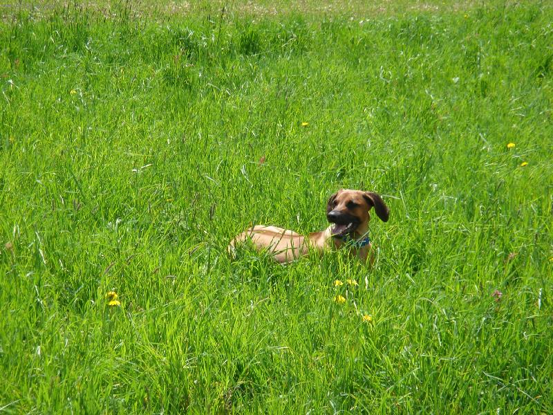 Foto: pohodi�ka na hor�ch-larapes