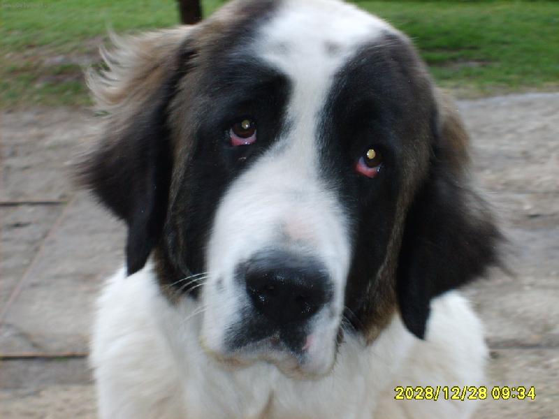 Foto: Bekynka-No nejsem kr�sn�?!