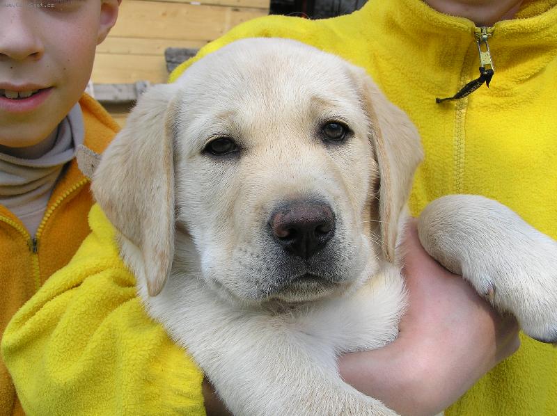 Foto: Billy-Kdy� byl je�t� mal�