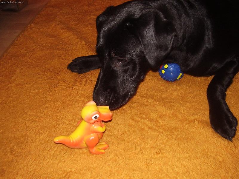 Foto: Jessie a v�no�n� d�rky