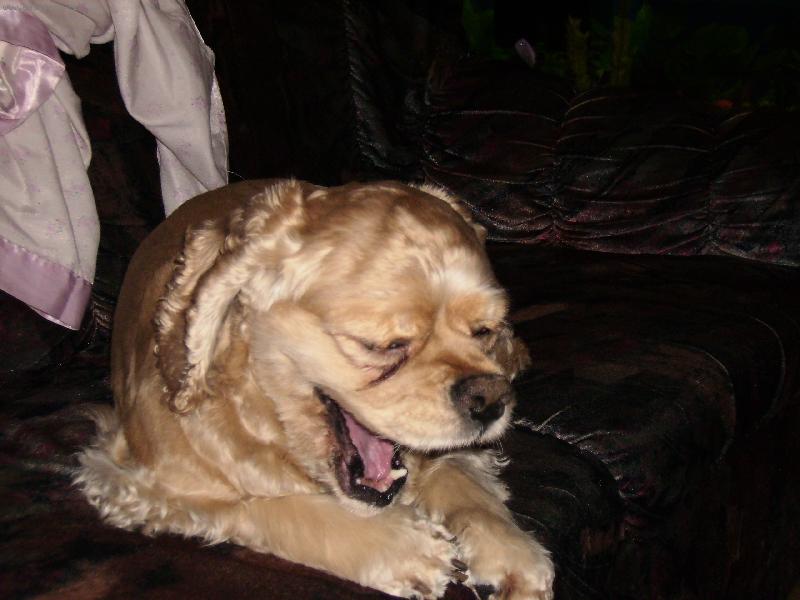 Foto: Akim-To je nuda