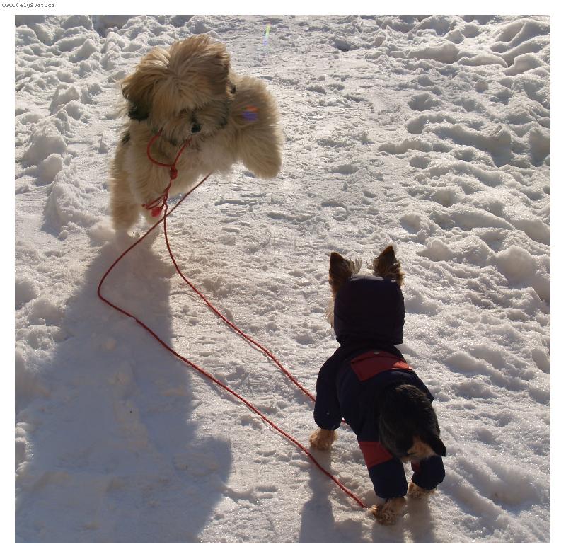 Foto: �tok-Angenka s Kime�kem