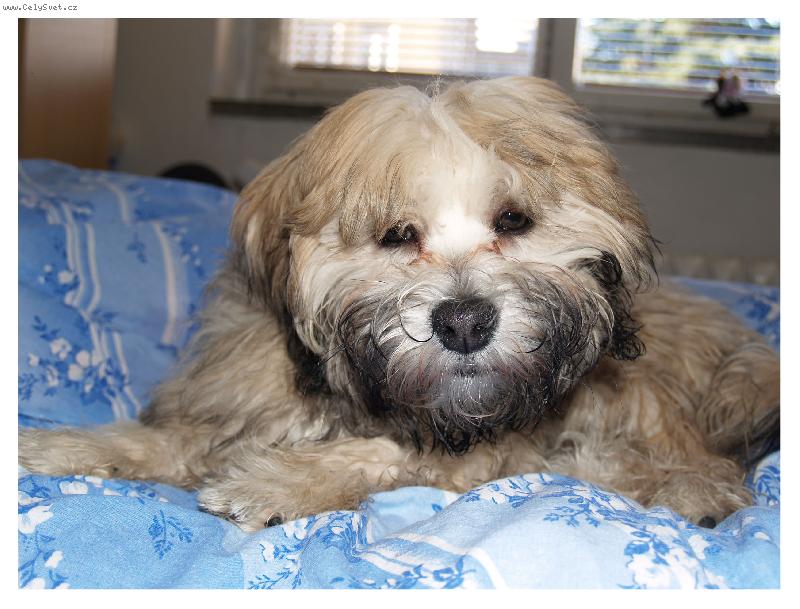 Foto: Co?Co�e?Hmm nech m� sp�t.