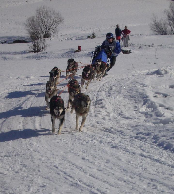 Foto: Mistrovstv� Evropy 2007-Ps� sp�e�en� na mistrovstv� evropy v Zuberci