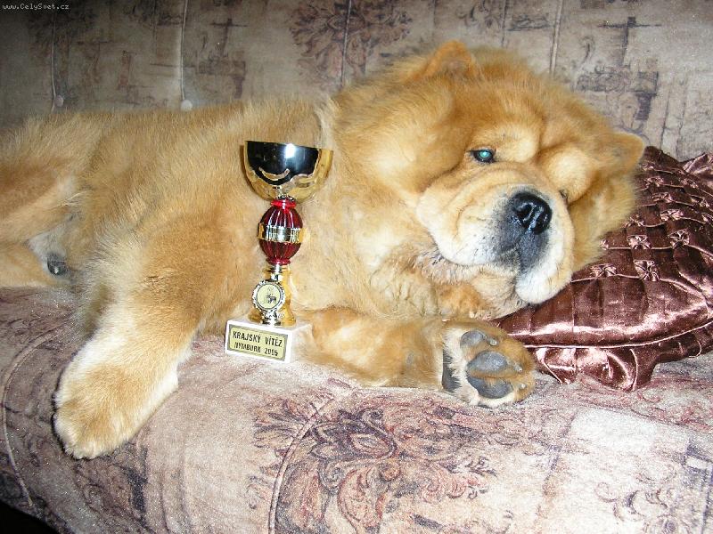 Foto: M�a-unaven� krajsk� v�t�z