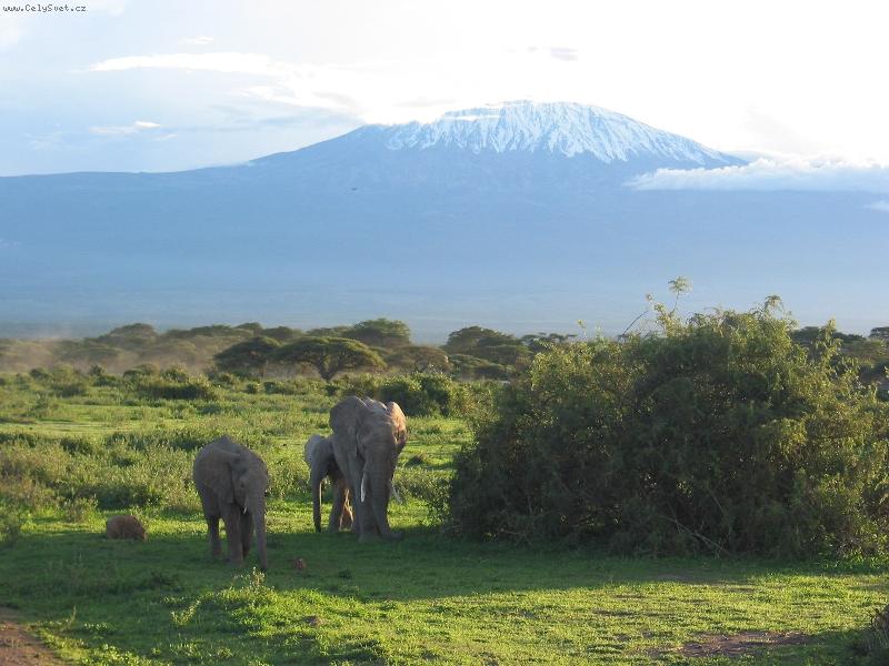 Foto: Pod Kiliman��rem