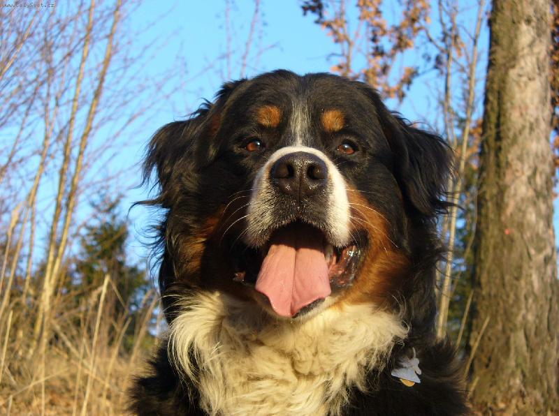 Foto: Bad z Haukovic :-)