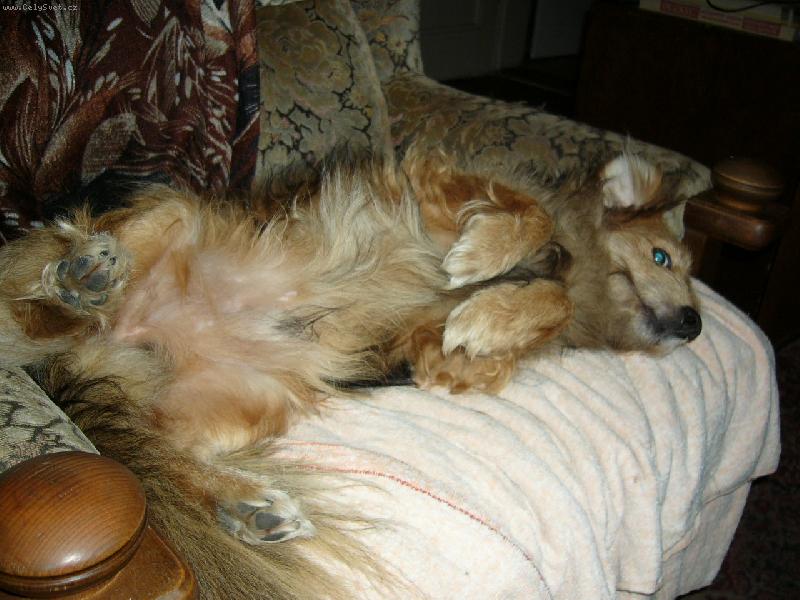 Foto: Ot�k-Dobrou noc!