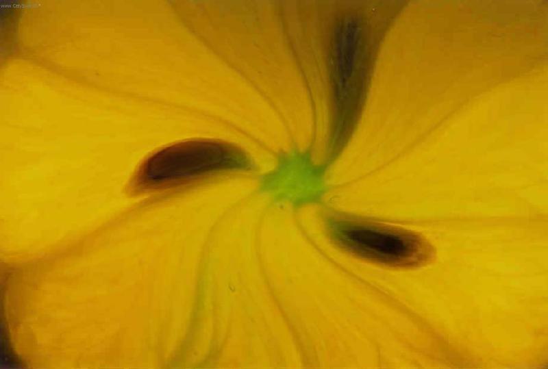 Foto: barevn� abstrakce II