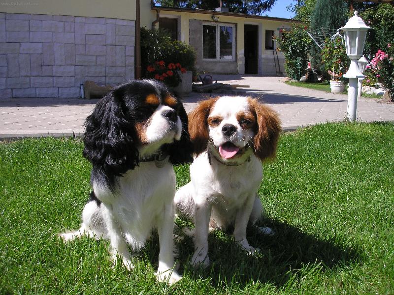 Foto: To je sranda-super!!!!!!!!!!!!