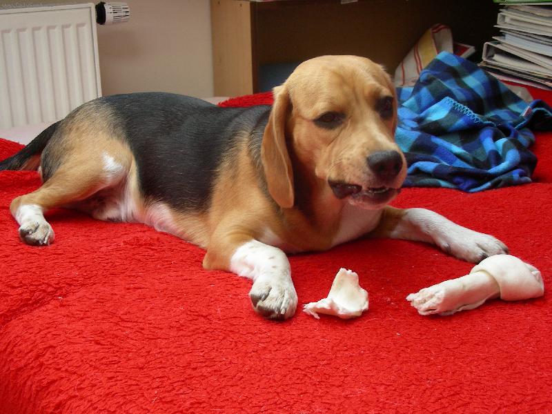 Foto: kou�u kou�u