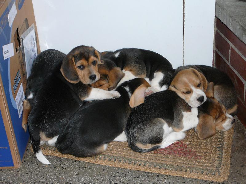 Foto: Valn� hromada