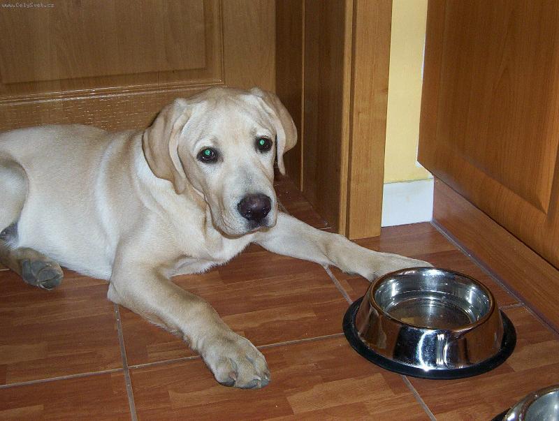 Foto: Max-je�t� by jsem n�co zblajznul