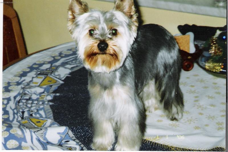 Foto: Max��ek-V�dy elegantn�