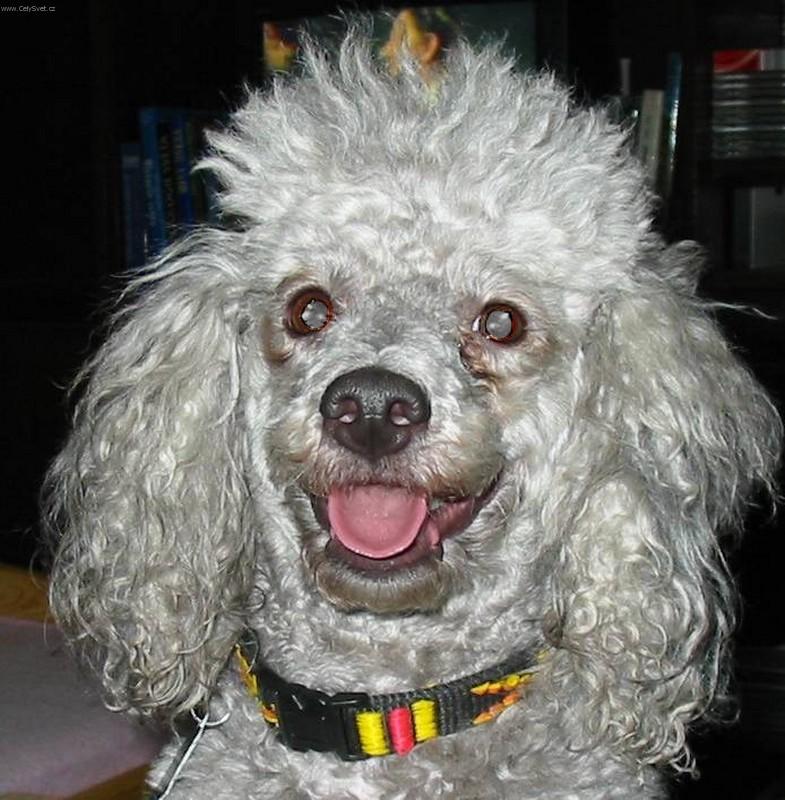 Foto: Mates-...usm�vat, pros�m, .......