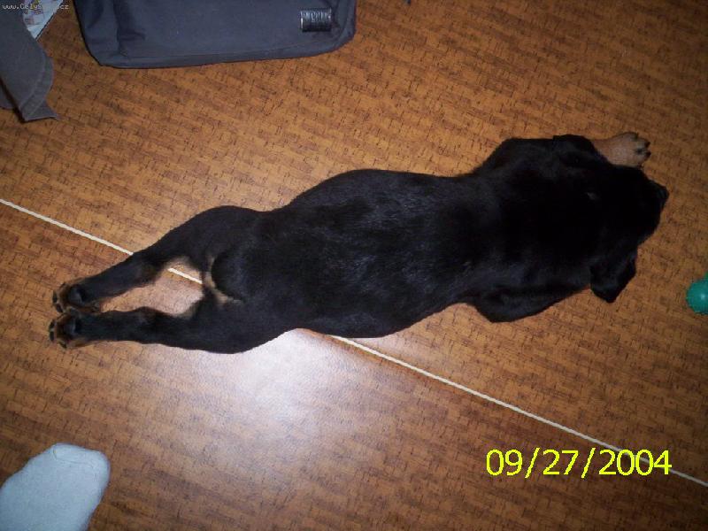 Foto: To jsem ale velik� :)