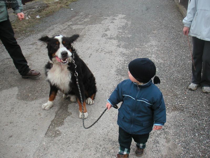 Foto: Bern�ek-Netop�r