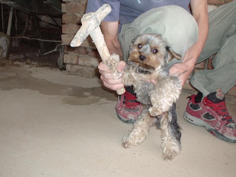 Foto: Terry pracovn�k-Tak a jde se makat.....