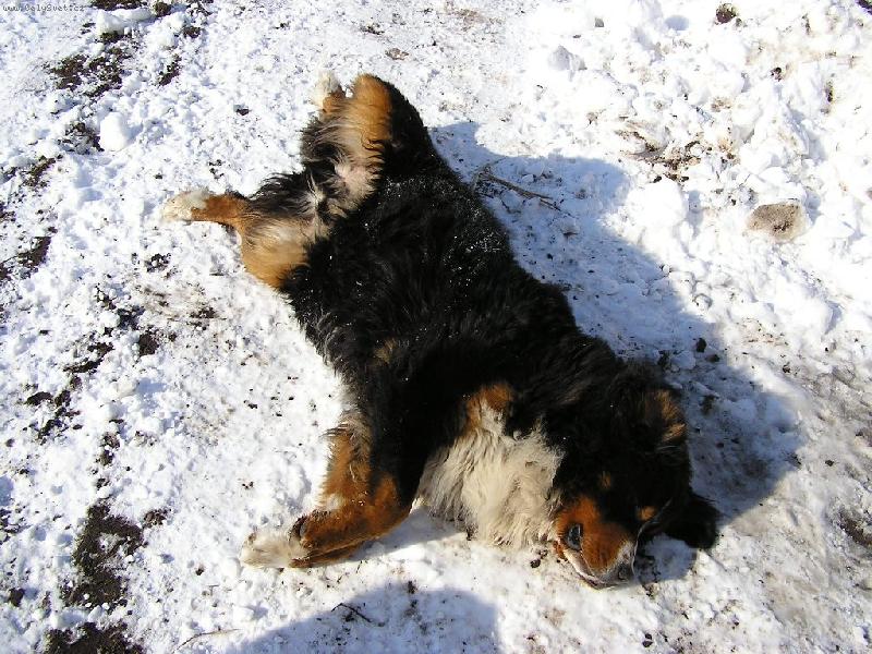 Foto: Deep-Je�t� si op�l�m b��ko a budu fe��k.