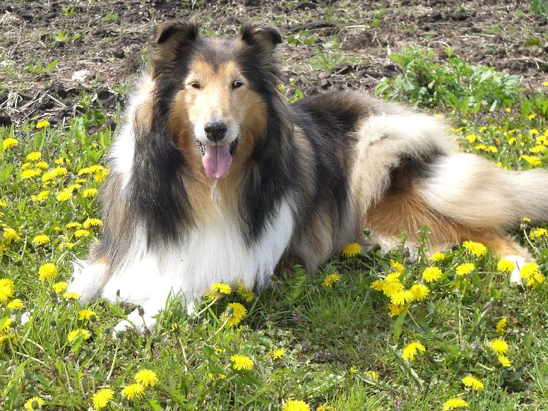 Foto: Beku�ka-5.5. 2006