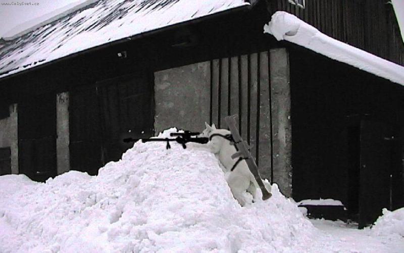 Foto: ostr� hl�da� RIDDICK