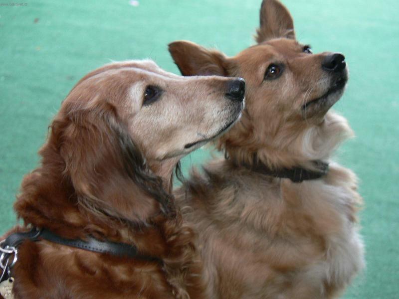 Foto: Lucie a Li�ka