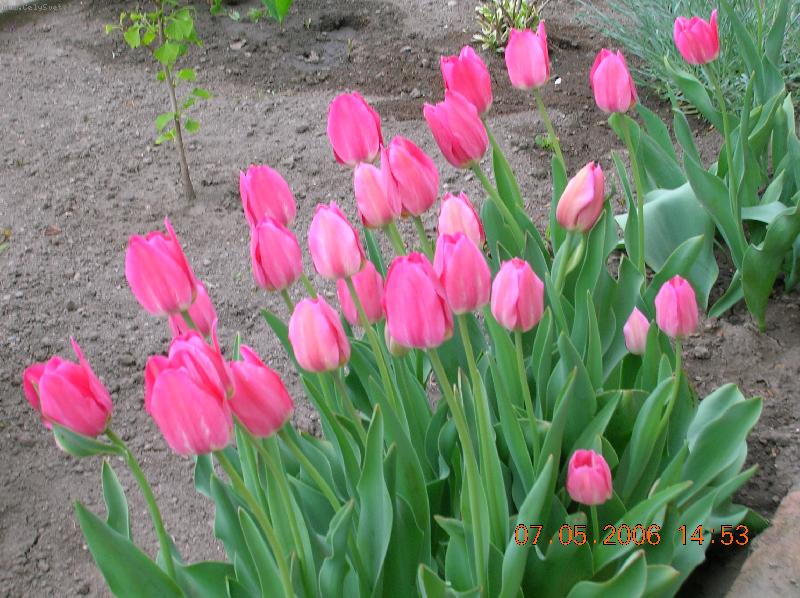 Foto: Jeden jako druhy