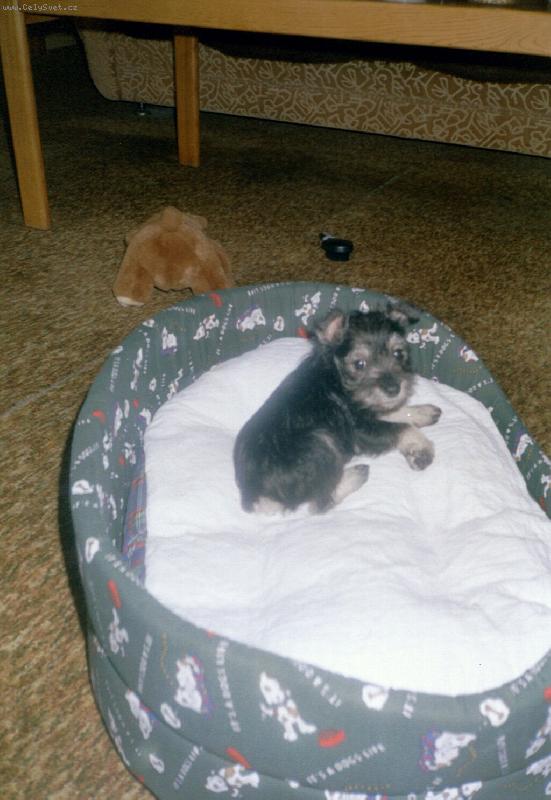 Foto: benysek-dobrou