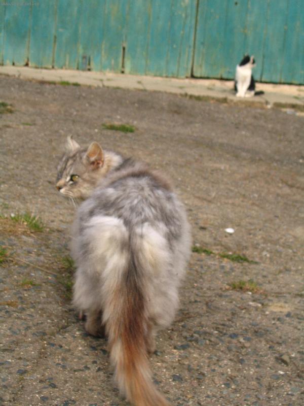 Foto: rozh�dan� p�r