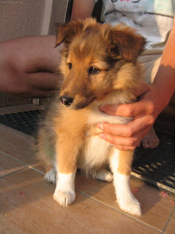 Foto: mlad� �eltie