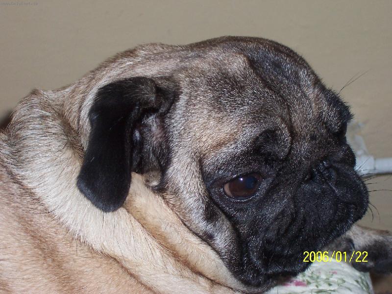 Foto: Eddy-Jsem smutn�:(