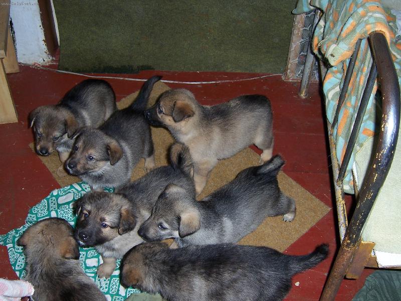 Foto: �t���tka