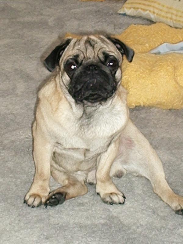 Foto: Eeeeeeeeddddddyyyyyy-Eddy a jeho obl�ben� posed