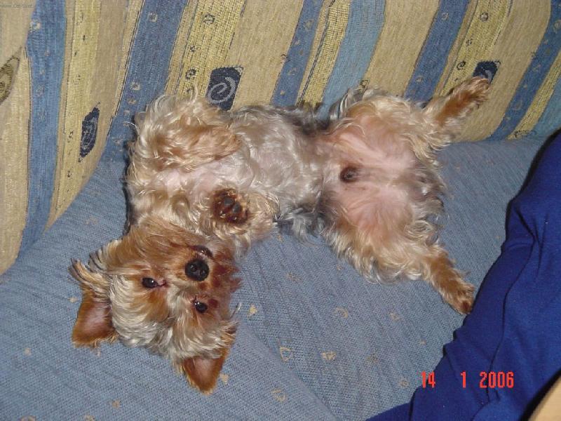 Foto: Bert�k-Neru�it  ......