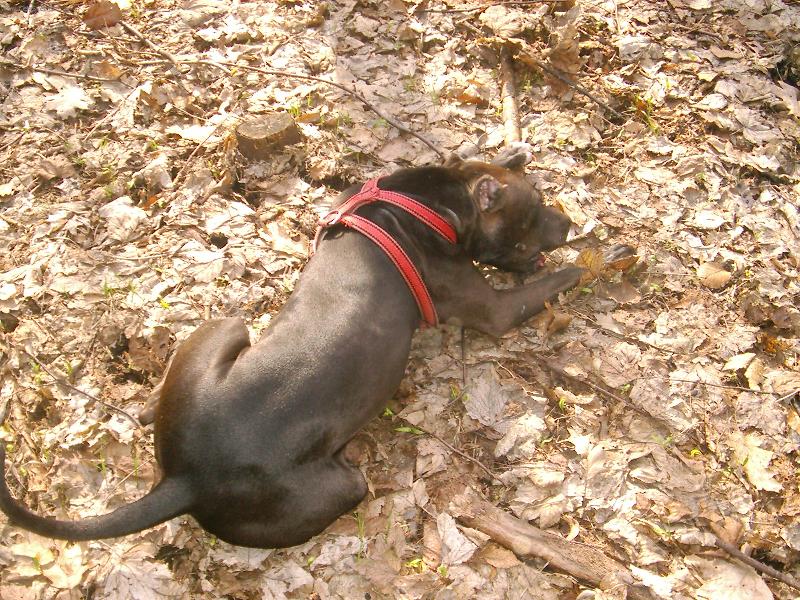 Foto: naomi-krasna jak modelka