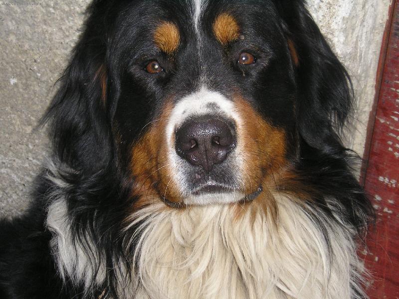 Foto: N� mali�k�