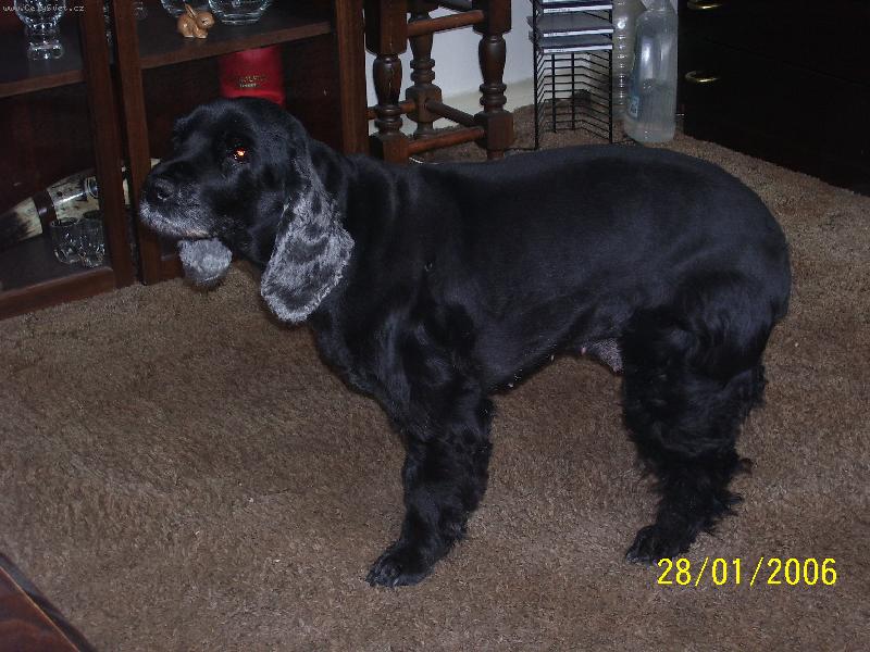 Foto: Deb�a-j� poslouch�m