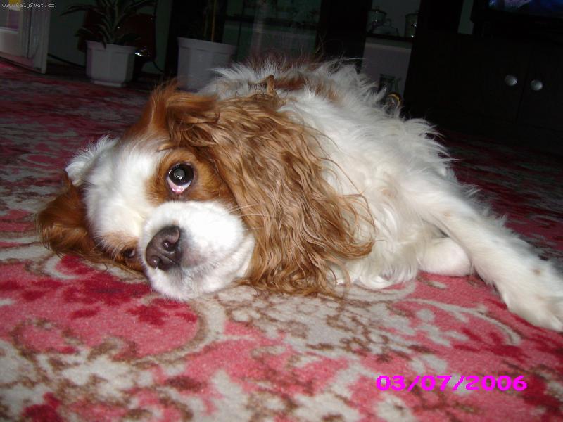 Foto: n� mil��ek